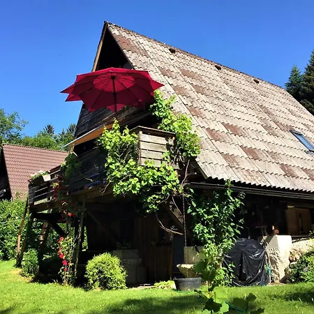 Chalet Charmantes Mit Garten